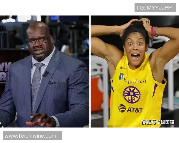 现在是单身！萨格斯直播中透露已经和WNBA球员海莉·范丽丝分手